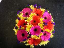 Posy Pad Multicoloured Any 30.00 GBP plus delivery