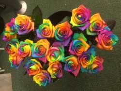 Rainbow roses Multicoloured Box of flowers 0.00 GBP plus delivery