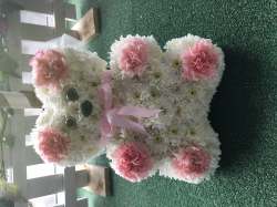 Sitting teddy Various Funeral  55.00 GBP plus delivery